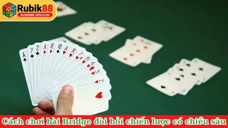 Cách chơi bài Bridge đòi hỏi chiến lược có chiều sâu