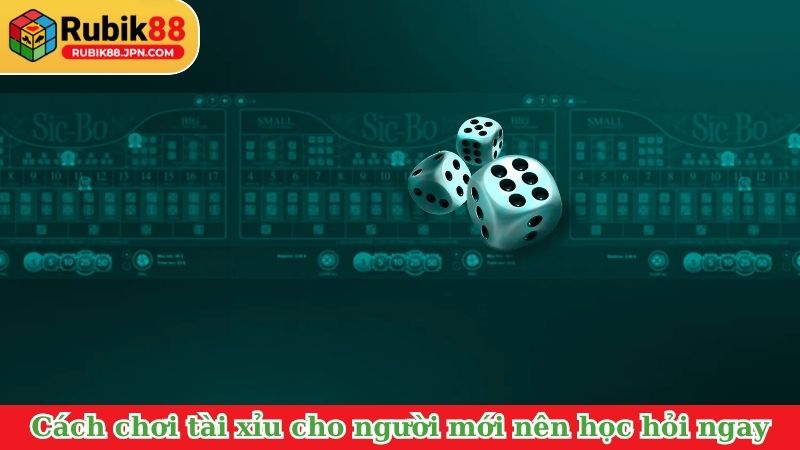 Cách chơi tài xỉu cho người mới nên học hỏi ngay