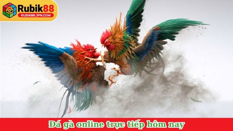 Đá gà online trực tiếp hôm nay