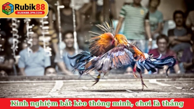 Kinh nghiệm bắt kèo thông minh, chơi là thắng