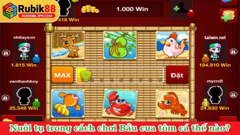 Nuôi tụ trong cách chơi Bầu cua tôm cá&nbsp; thế nào?