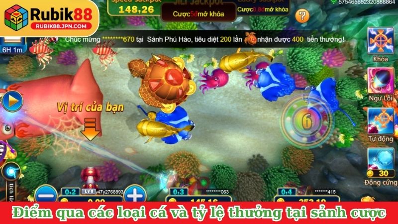 Điểm qua các loại cá và tỷ lệ thưởng tại sảnh cược